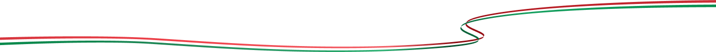 italian flag